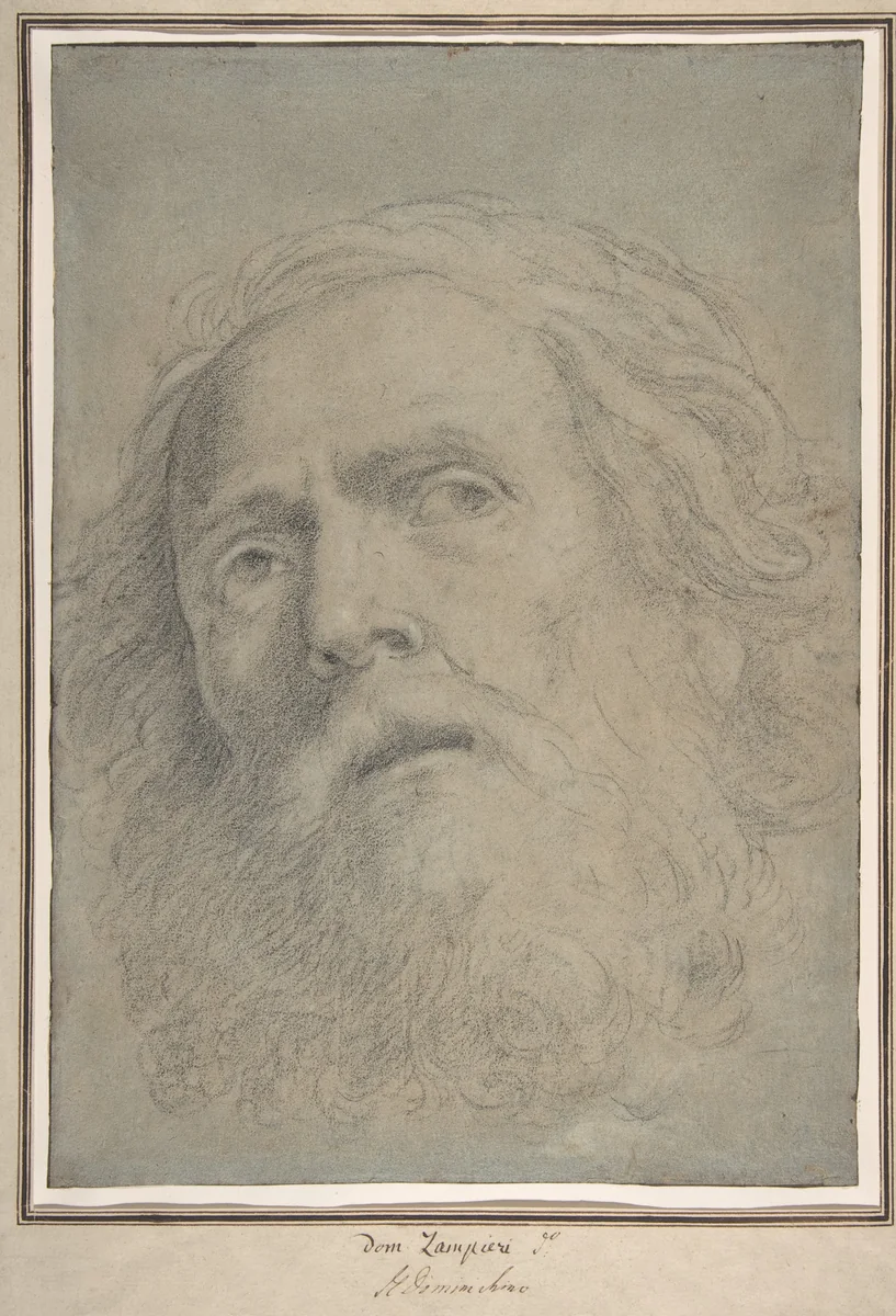 Head of a Bearded Man by Domenichino, drawing, 1620-1630