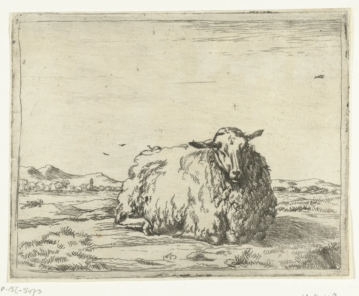 Rustend schaap, van voren gezien by Marcus de Bye, print, 1657