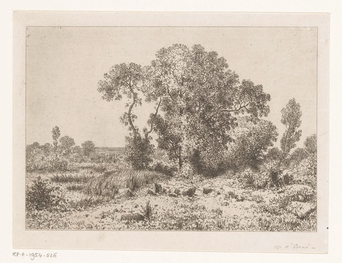 Boomgroep bij een moeras by Jean Alexis Achard, print, 1817-1884