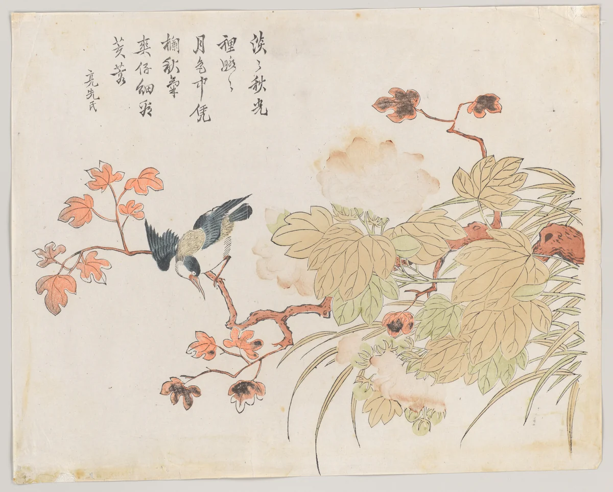 Bird on hibiscus by Ding Liangxian, print, 1736-1795