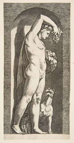 Bacchus standing in a niche holding grapes in his raised right hand, fruit in his left hand, a dog lower right by Marco Dente, print, 1510-1532