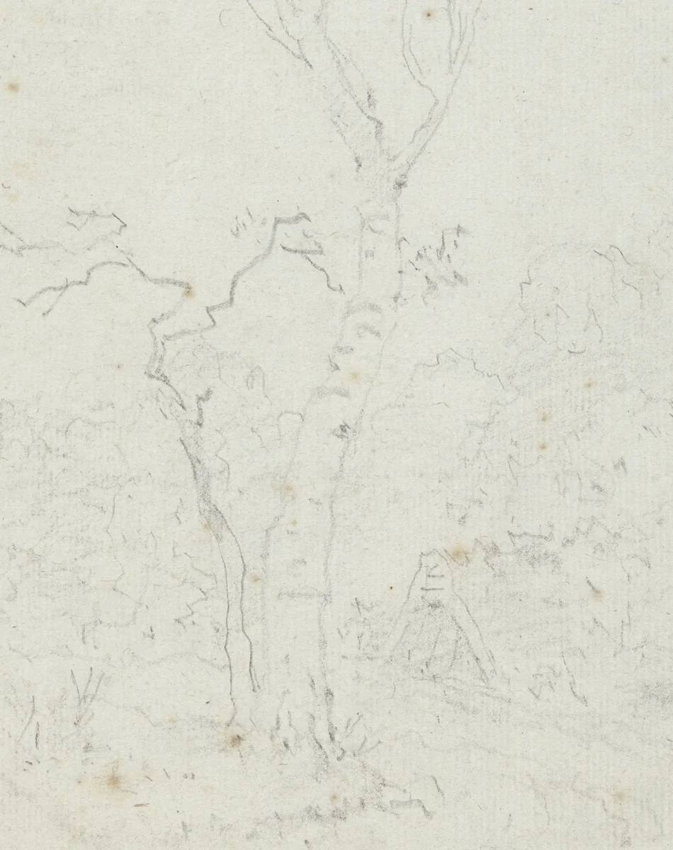 Landschap met wijdvertakte boom by Jean Honoré Fragonard, drawing, 1742-1806