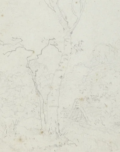 Landschap met wijdvertakte boom by Jean Honoré Fragonard, drawing, 1742-1806
