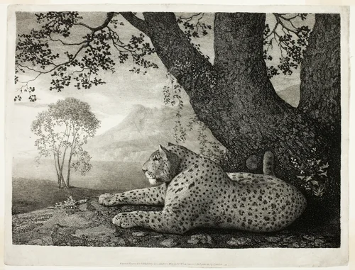 A Tyger (A Recumbent Leopard by a Tree) by George Stubbs, print, 1788