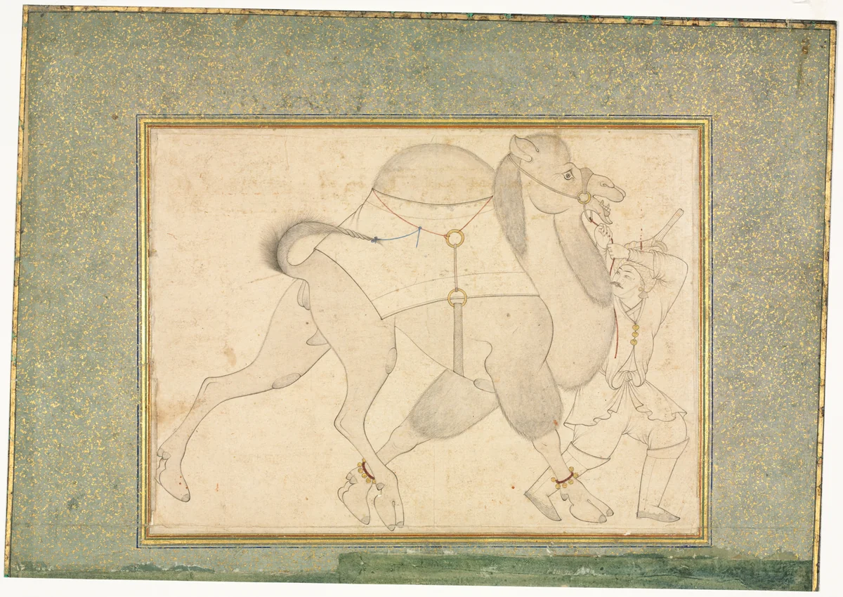 Camel and Groom; Single Page Illustration by Shaykh Muhammad, drawing, 1540-1580