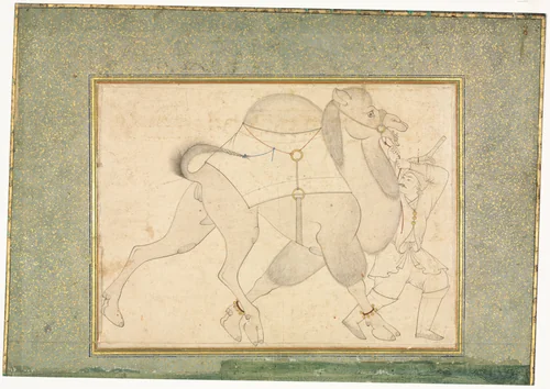 Camel and Groom; Single Page Illustration by Shaykh Muhammad, drawing, 1540-1580