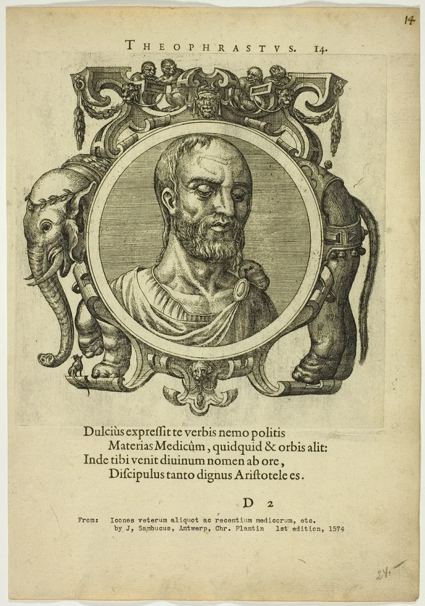 Portrait of Theophrastus by Unknown Artist, print, 1574