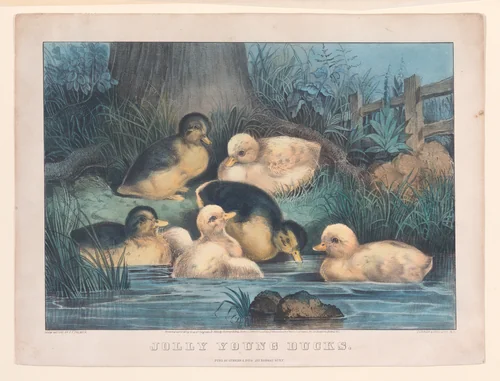 Jolly Young Ducks by Frances Flora Bond Palmer, print, 1866