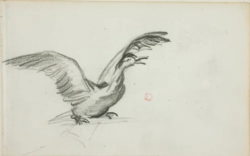 Wild Duet (recto); Two Standing Nude Female Figures in Niches (verso) by Charles-François Daubigny, drawing, 1837-1878