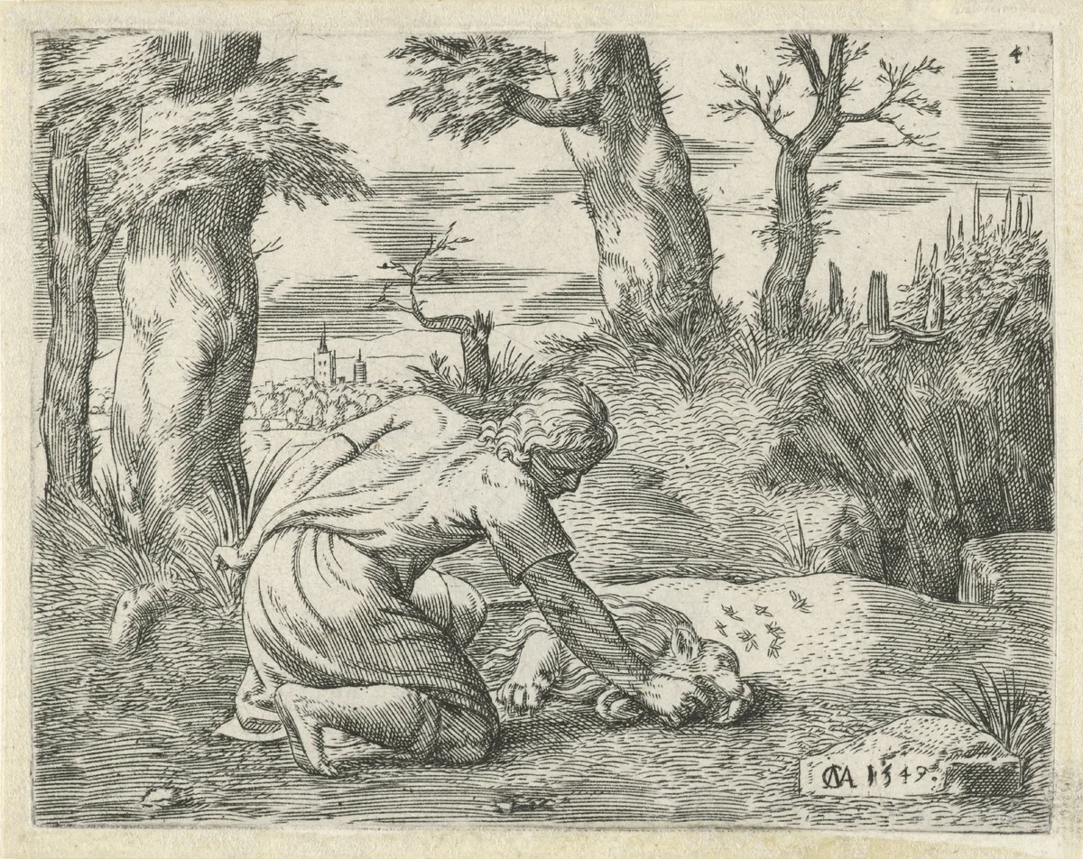 Simson vindt honing in de dode leeuw by Unknown, print, 1549