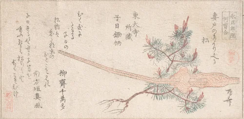 Young Pine Tree and Handle of a Plow by Ryūryūkyo Shinsai (柳々居辰斎), print, 1800-1899