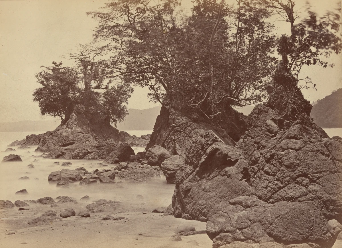 Islands, Limon Bay by John Moran, photograph, 1871