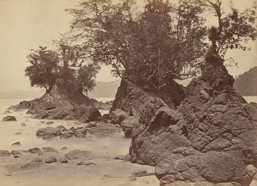 Islands, Limon Bay by John Moran, photograph, 1871