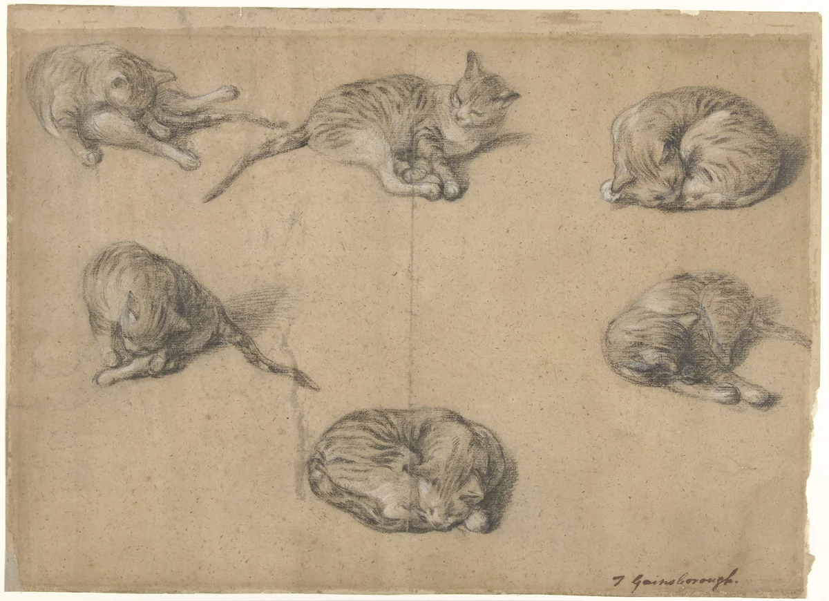 Six Studies of a Cat by Thomas Gainsborough, drawing, 1763-1769