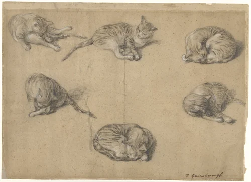Six Studies of a Cat by Thomas Gainsborough, drawing, 1763-1769