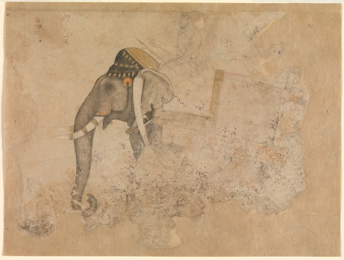 Elephant and Rider by Hashim, drawing, 1615-1665