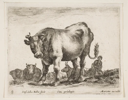 Cow, plate 8 from "Various Animals" (Diversi Animali) by Stefano della Bella, print, 1636-1646