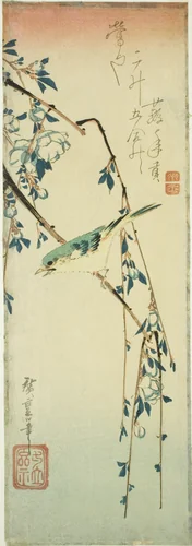 Bush warbler on plum branch by Utagawa Hiroshige (歌川広重), print, 1830-1840