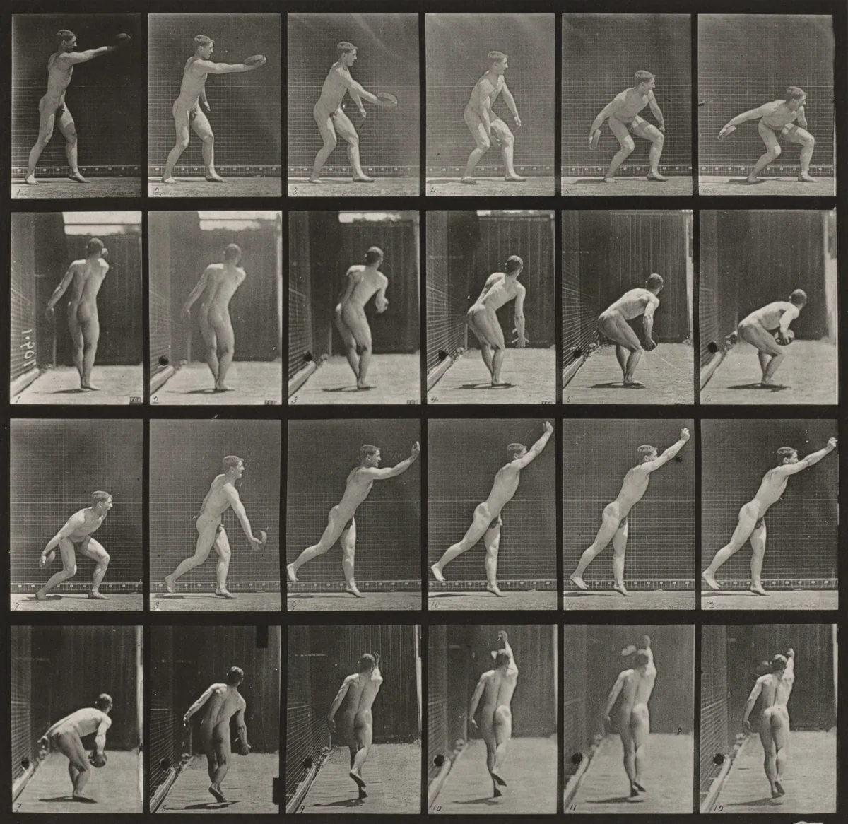 Plate Number 307. Throwing an iron disk by Eadweard Muybridge, photograph, 1887