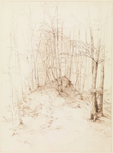 Forest view in the Menterschweige district near Munich by Heinrich Dreber, drawing, 1841