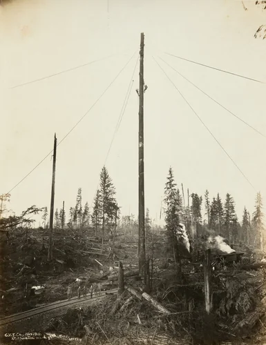 C.V.T. Co. Stillwater, Washington by Darius Kinsey, photograph, 1919