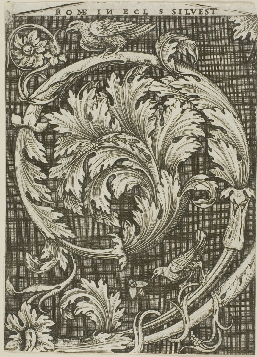Foliage Ornament from Ancient Roman Church by Agostino dei Musi, print, 1525-1540