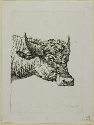 Head of a Buffalo, from Die Zweite Thierfolge by Johann Christian Reinhart, print, 1800