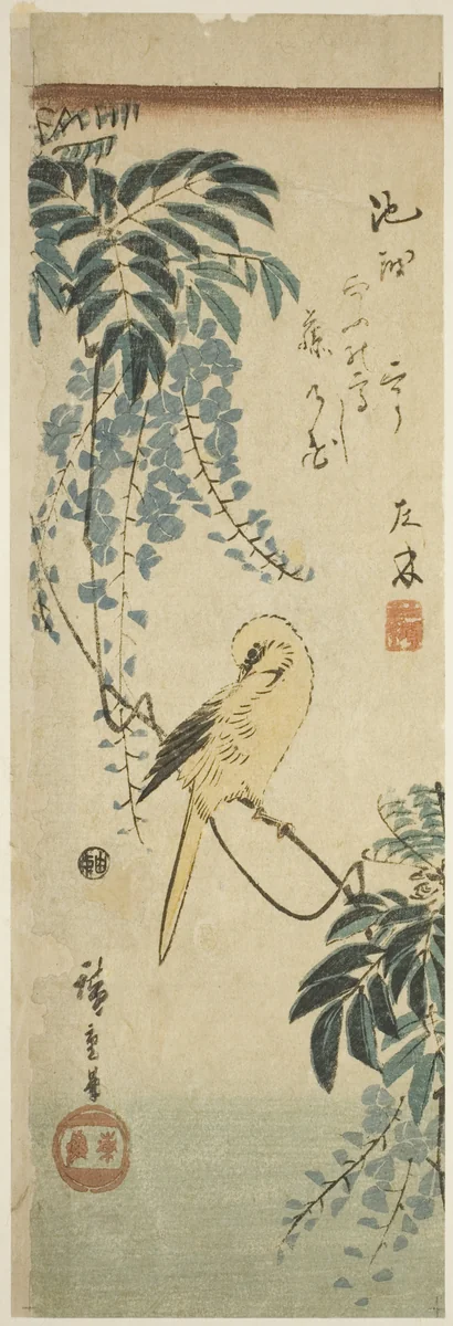 Canary and wisteria by Utagawa Hiroshige (歌川広重), print, 1838-1852