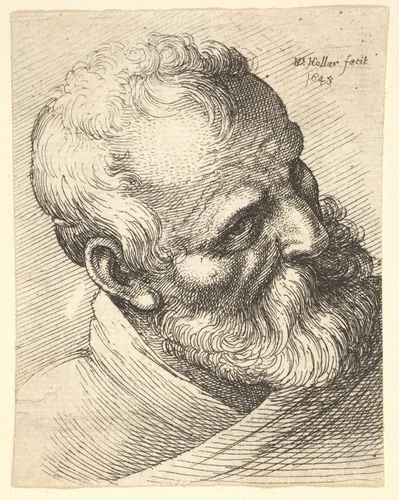 Bearded old man with a tilted head by Wenceslaus Hollar, print, 1645