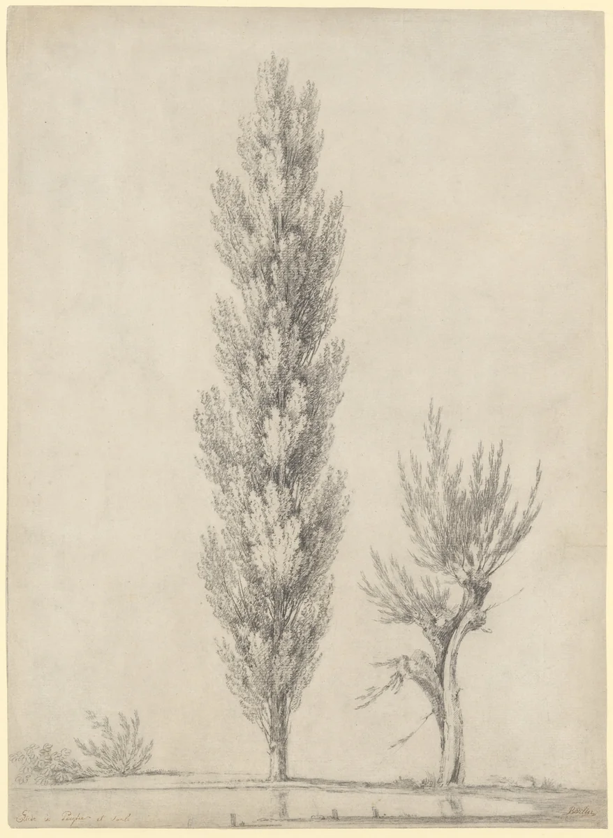 Landscape with a Poplar and a Willow Tree at the Edge of a Pond by Jean-Victor Bertin, drawing, 1787-1842