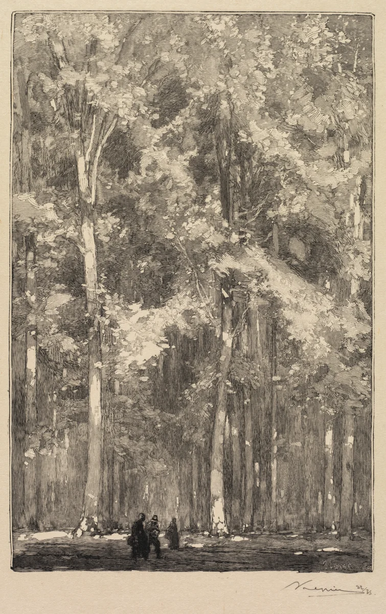 Fontainebleau Forest: Morning, Crossroads of the Route of the Forts de Marlotte (La Forêt de Fontainebleau: Le Matin, Carrefour des Fort de Marlotte) by Auguste Louis Lepère, book, 1890