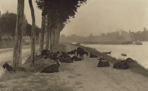 On the Seine—Near Paris by Alfred Stieglitz, photograph, 1894