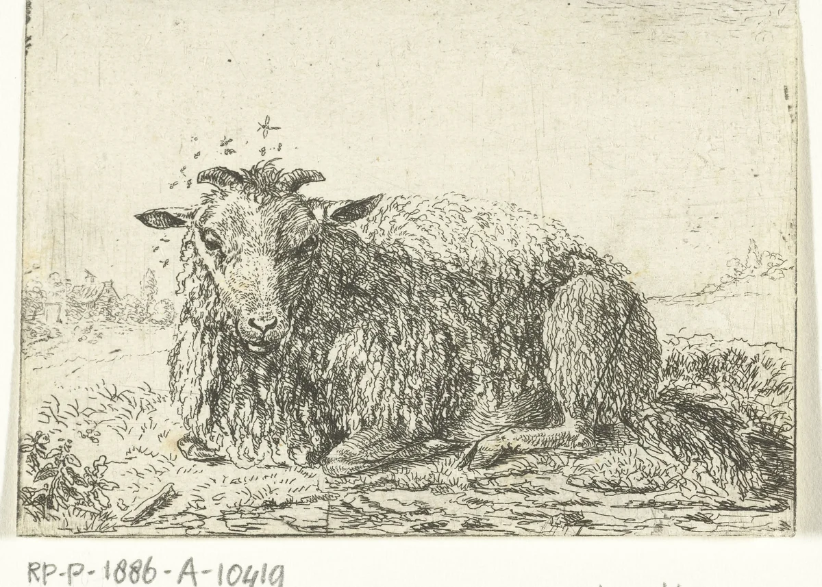 Schaap met vliegen by Jacob van der Does, print, 1633-1673
