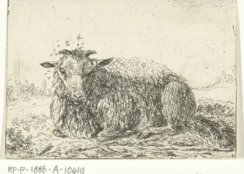 Schaap met vliegen by Jacob van der Does, print, 1633-1673