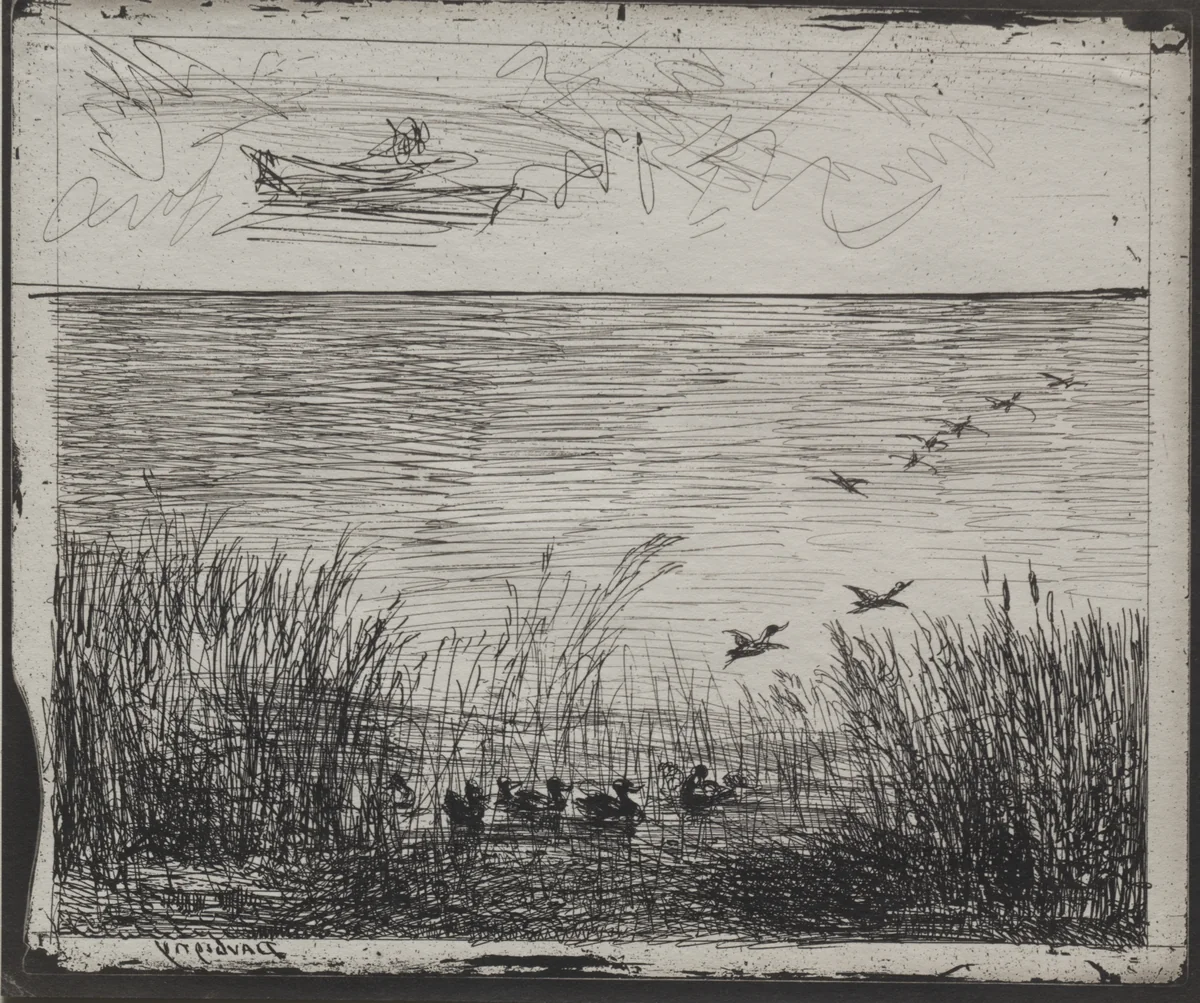 Swamp with Ducks by Charles-François Daubigny, print, 1921