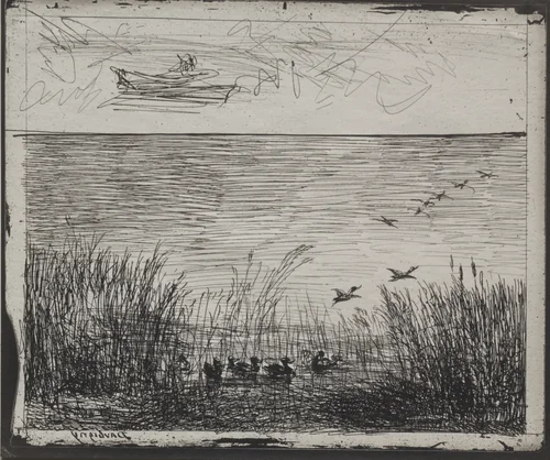 Swamp with Ducks by Charles-François Daubigny, print, 1921