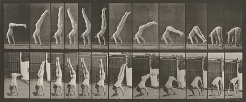 Plate Number 371. Acrobat, vertical "press up" by Eadweard Muybridge, photograph, 1887