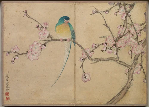 Desk Album: Flower and Bird Paintings (Bird with Plum Blossoms) by Zhang Ruoai, painting, 1700-1799