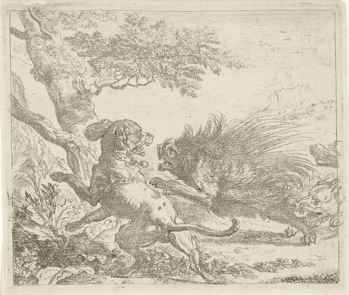 Stekelvarken door honden aangevallen by Abraham Daniëlsz. Hondius, print, 1672