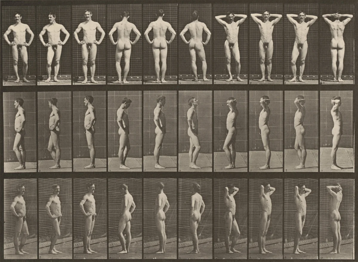 Plate Number 530. Various poses by Eadweard Muybridge, photograph, 1887