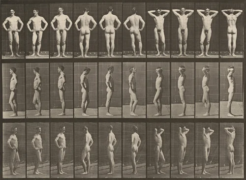 Plate Number 530. Various poses by Eadweard Muybridge, photograph, 1887