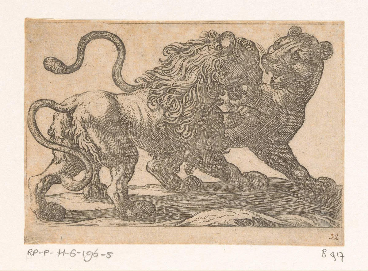 Een leeuw vechtend met een leeuwin by Antonio Tempesta, print, 1600