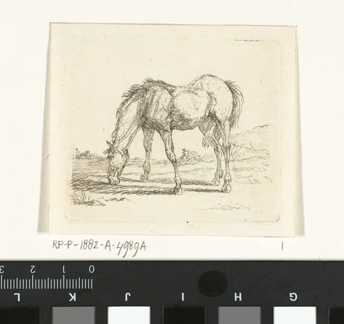 Grazend paard naar links by Jan Dasveldt, print, 1780-1855