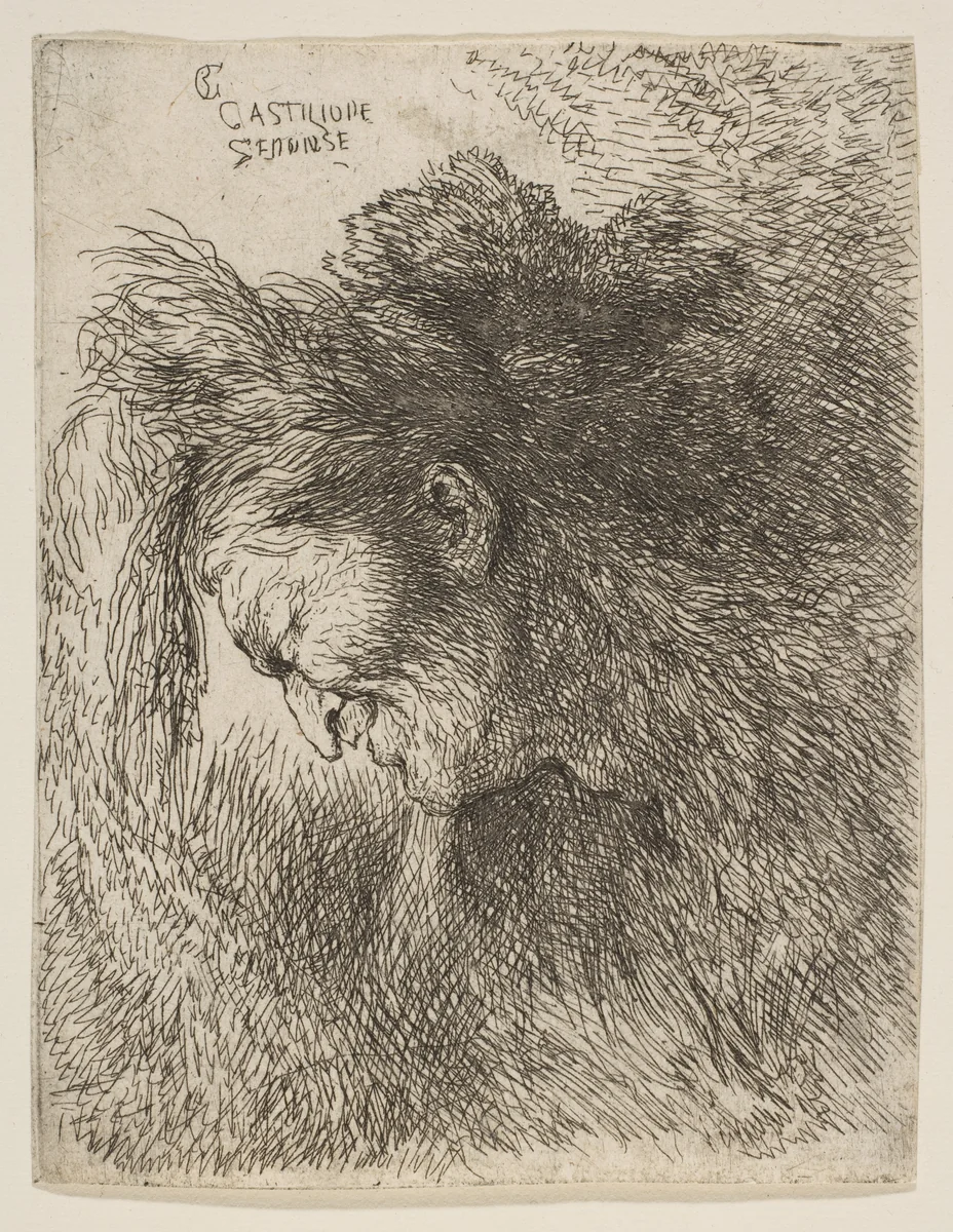 Head of an old man looking down, facing left, from "Small Heads in Oriental Headdress" by Giovanni Benedetto Castiglione, print, 1640-1650