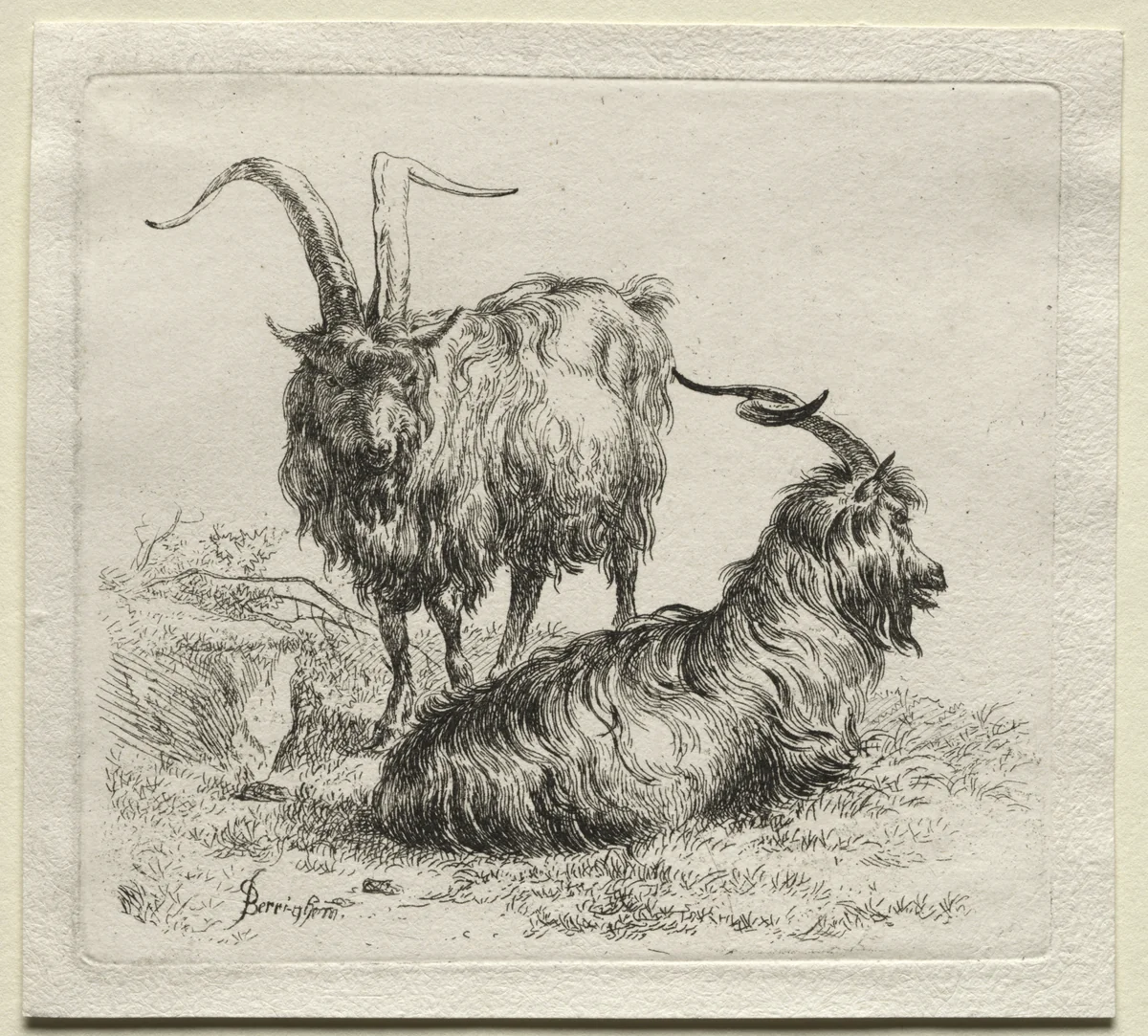Animalia: Two Goats by Nicolaes Berchem, print, 1635-1683