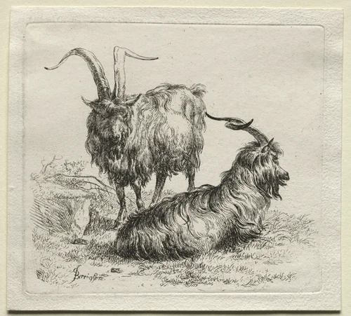 Animalia: Two Goats by Nicolaes Berchem, print, 1635-1683