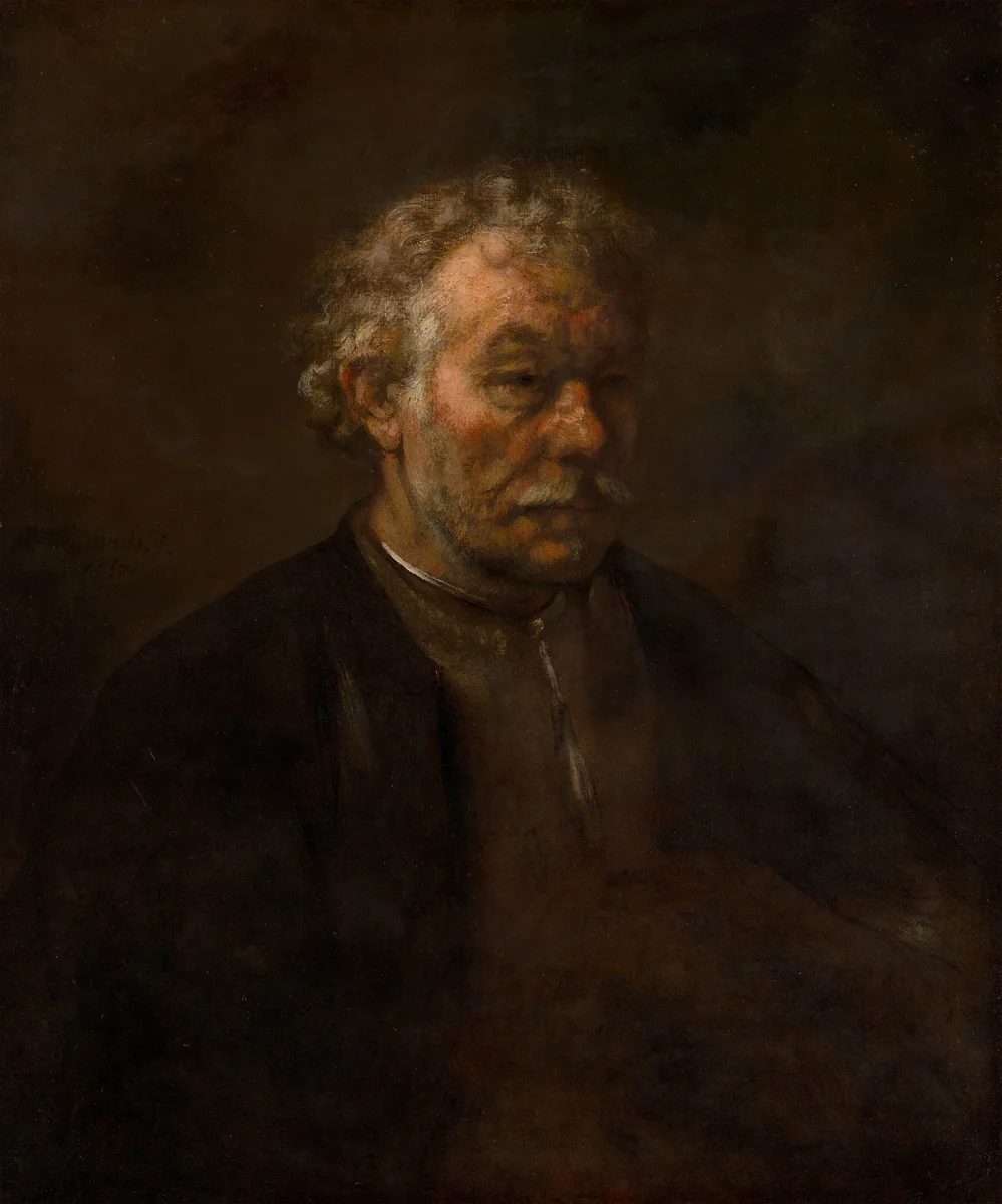Study of an Old Man by Rembrandt van Rijn, painting, 1655