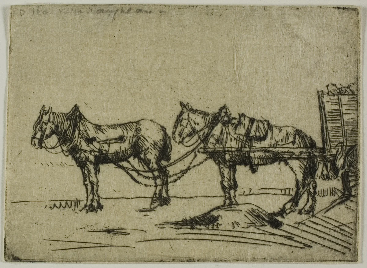 Two Horses by Donald Shaw MacLaughlan, print, 1906