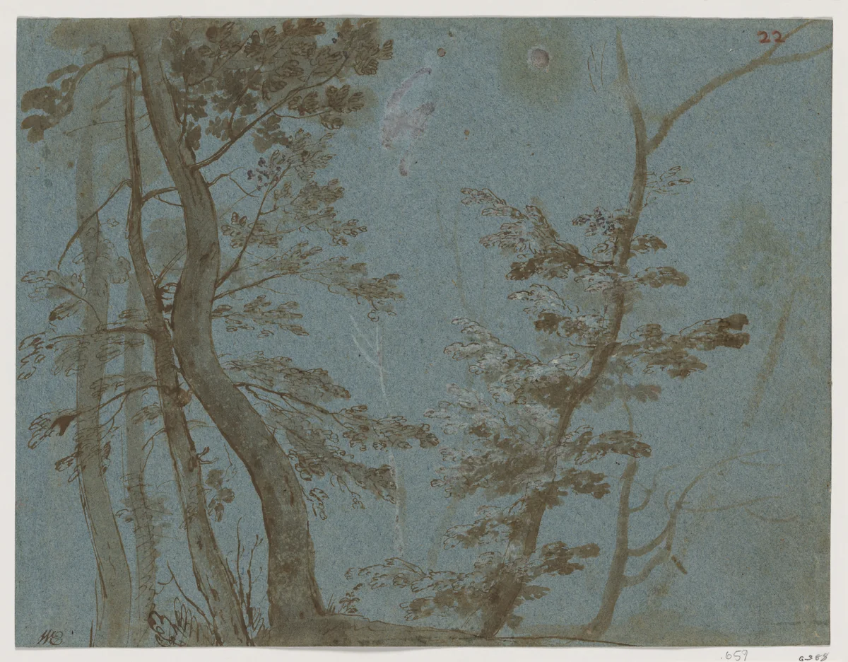 Trees by Giovanni Francesco Grimaldi, drawing, 1650