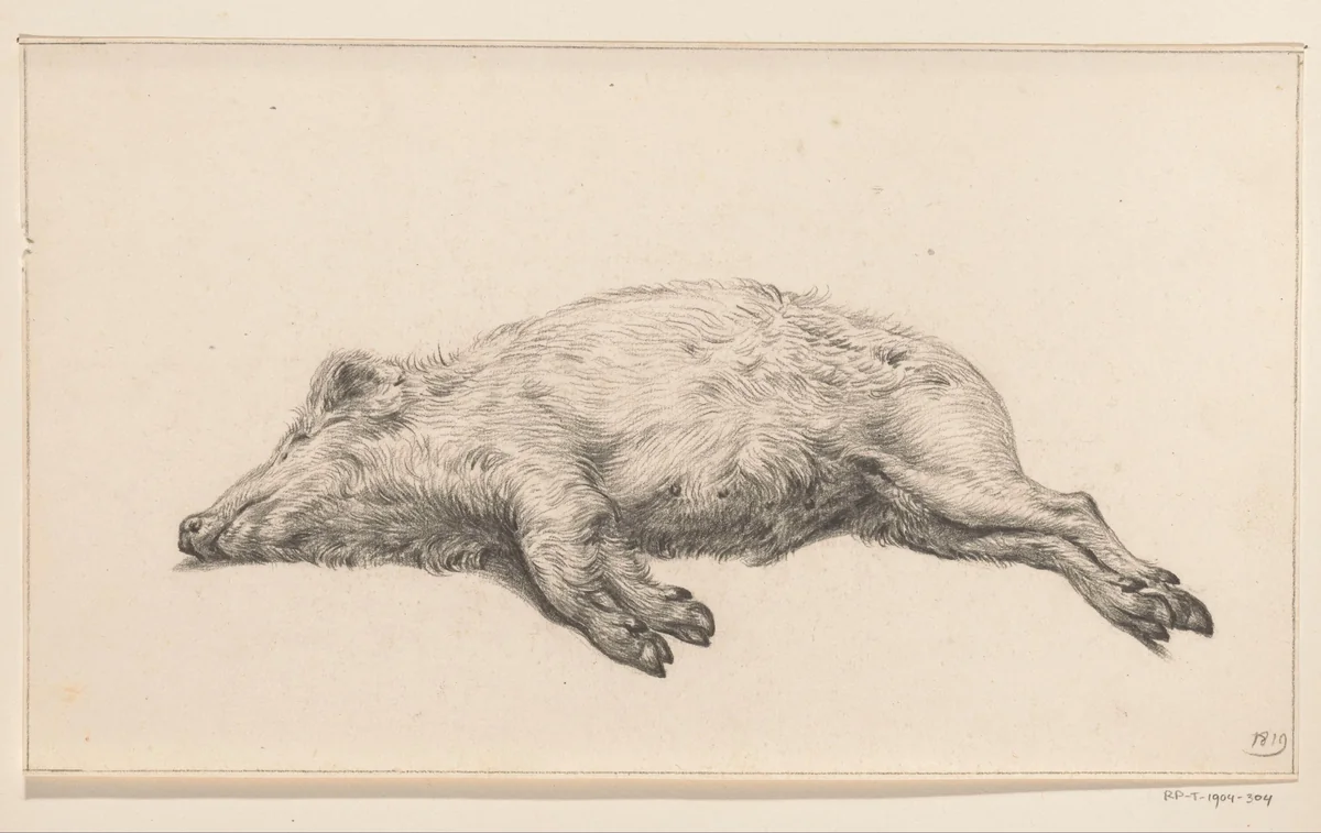 Liggend varken, naar links by Jean Bernard, drawing, 1819